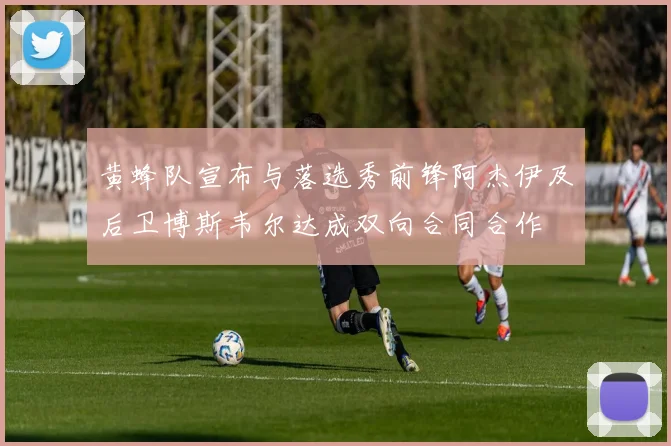 黄蜂队宣布与落选秀前锋阿杰伊及后卫博斯韦尔达成双向合同合作